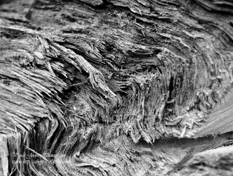 Wood Swirl